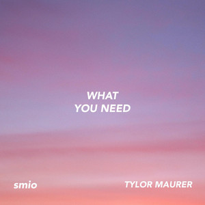 What You Need