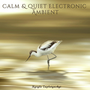 Kyrylo Zaplotynskyi — Calm & Quiet Electronic Ambient