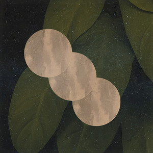 Starfall by Forest of the Mind