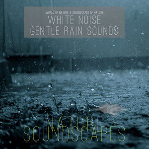 White Noise Gentle Rain