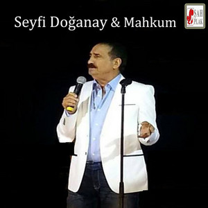 Seyfi Doğanay - Ne Gördüm Ne Yaşadım