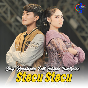 Silvy Kumalasari - Stecu Stecu (feat. Achmad Twentynine)