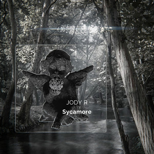 Sycamore by Jody R