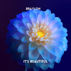 It's Beautiful - Radio Edit by Braylon