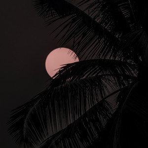 Falling by RDR