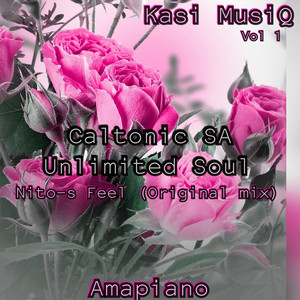 Caltonic SA - Nito-S Feel (feat. Unlimited Soul)