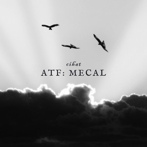ATF: MECAL