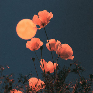 Summer Moon by Zen Gemini