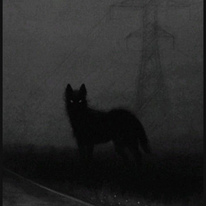 BlackWolf - Dark Wolf