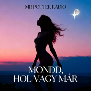 Mr Potter Radio - Mondd, hol vagy már