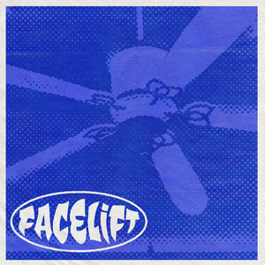 Ceiling Fan by Facelift