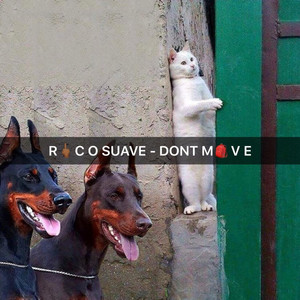 Portada de Don't Move
