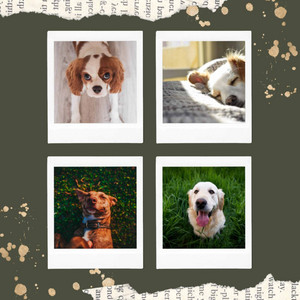 Music for Running with Dog (Vibraphone Jazz) album