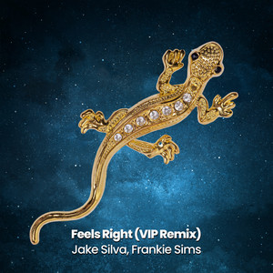 Feels Right - VIP Remix by Jake Silva, Frankie Sims