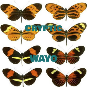 Cryptic by WAYO