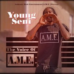 Young Seni - Intro