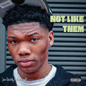 Portada de Not Like Them