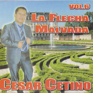 Cesar Cetino - Flecha Malvada