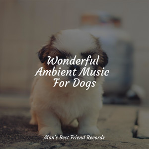 Wonderful Ambient Music For Dogs album