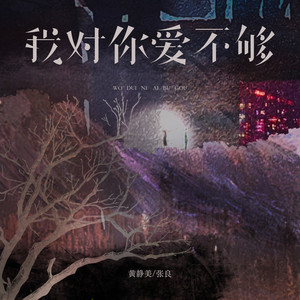 我对你爱不够 by 黄静美, 张良