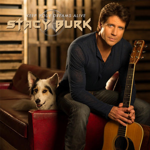 I Can't Stop by Stacy Burk