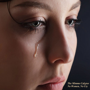No Woman, No Cry by The Mimmo Calypso
