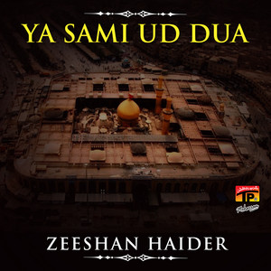 Zeeshan Haider - Alvida Alvida