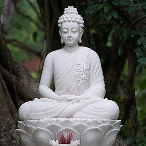 Jymmy - Lời Phật Dạy