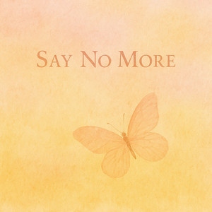 Say no more by navian