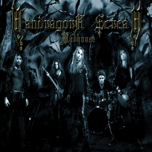 Dark Lantern by Mandragora Scream