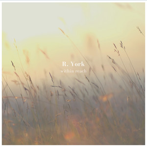 Within Reach by R. York