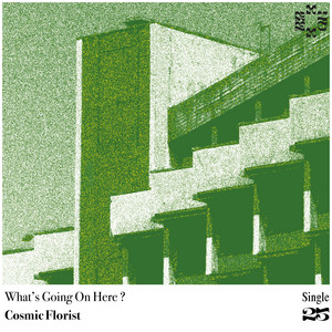 What's Going On Here ? by Cosmic Florist