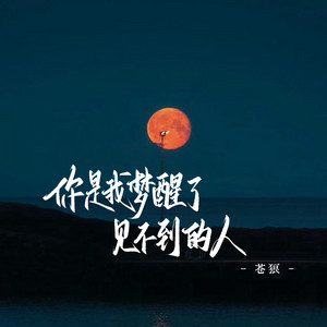 你是我梦醒了见不到的人 by 苍狼