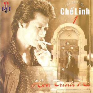 Hoa Trinh Nu cover