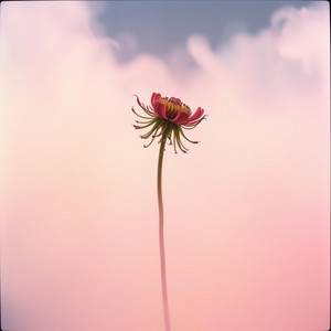 Beautiful love you give — Lady Sunce