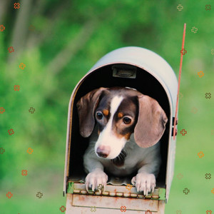 Simple Bartione Sax solo - Background for Dog Cafes album