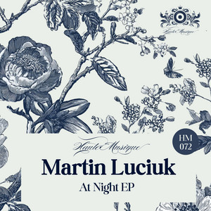 At Night - D.M.P Remix by Martin Luciuk, D.M.P