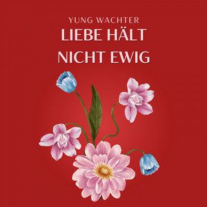 Portada de Immer mehr