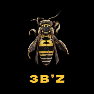 3B'Z by QuisDa1