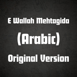 Malik Tayyab Official - E Wallah Mehtagida