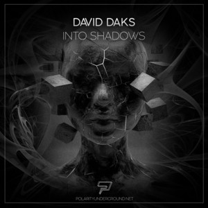 Into Shadows by David Daks