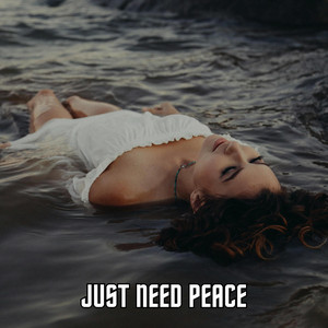 Just need peace - R&B Instrumental by TQuality Beatz