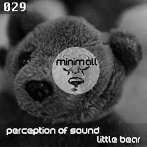 Perception Of Sound cover