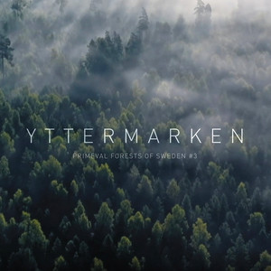 Gentle Breeze, Blackcap, Willow Warbler, Crows and Blackbird by Yttermarken
