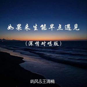如果来生能早点遇见 - 深情对唱版伴奏 by 屿风, 王清楠