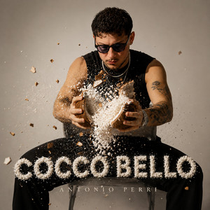 Cocco Bello by Antonio Perri