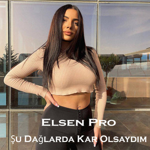 Elsen Pro - Şu Dağlarda Kar Olsaydım
