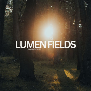 In Another Life by Lumen Fields