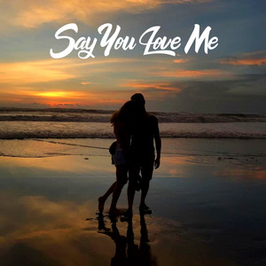 Say You Love Me