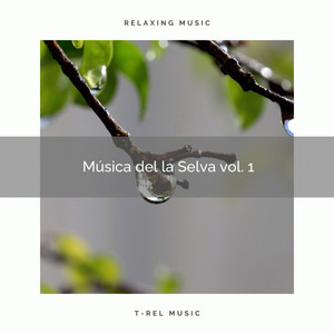 1 Música de la Selva vol. 1 album